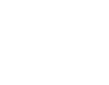 RVV Logo